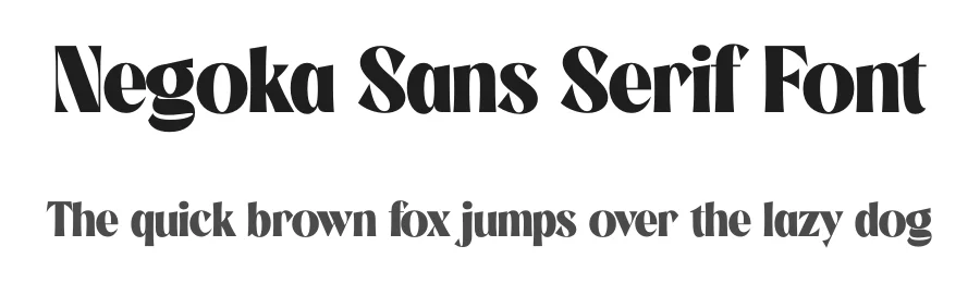 Negoka Sans Serif Font by Storytype — Serif Font