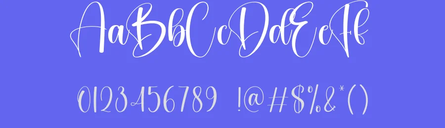 Neighbor Script Font by creativeletter — Script Handwritten Font — thumbnail 3