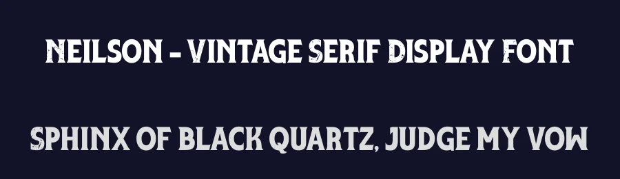 Neilson – Vintage Serif Display Font by Almairatype — Display Font — thumbnail 2