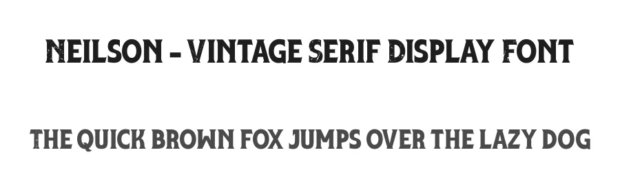 Neilson – Vintage Serif Display Font by Almairatype — Display Font
