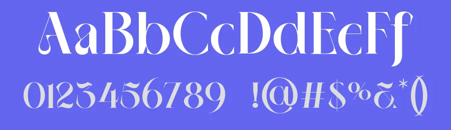 Neima Font by Bagerich Type Foundry — Serif Font — thumbnail 3