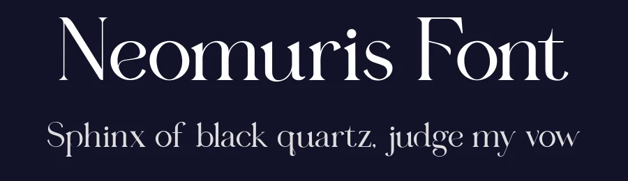 Neomuris Font by Lettermine — Decorative Font — thumbnail 2