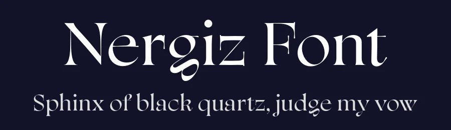 Nergiz Font by Muhittin Güneş — Serif Font — thumbnail 2