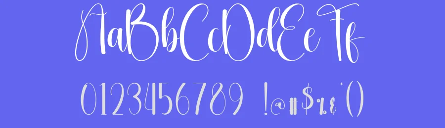 Network Calligraphy Font by creativeletter — Script Handwritten Font — thumbnail 3