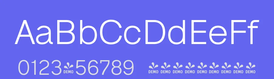 Neue Alte Grotesk Font Family by VisualWorks — Sans Serif Font — thumbnail 3