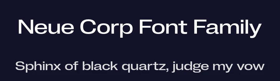 Neue Corp Font Family by Pangram Pangram — Decorative Font — thumbnail 2