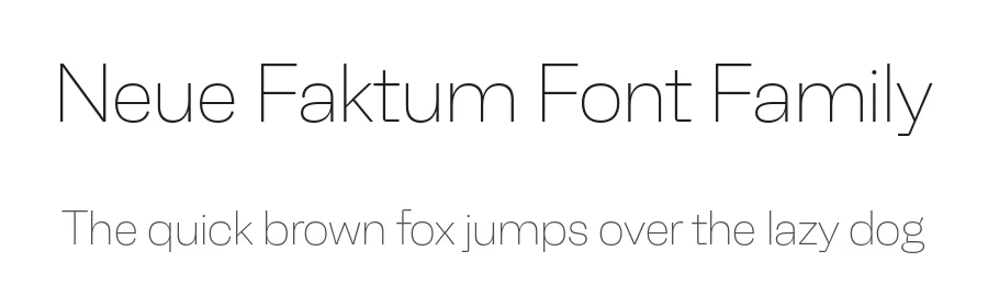 Neue Faktum Font Family by Rene Bieder — Decorative Font