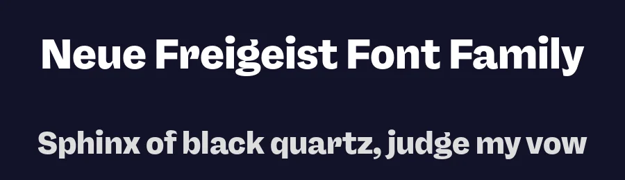 Neue Freigeist Font Family by Rene Bieder — Decorative Font — thumbnail 2