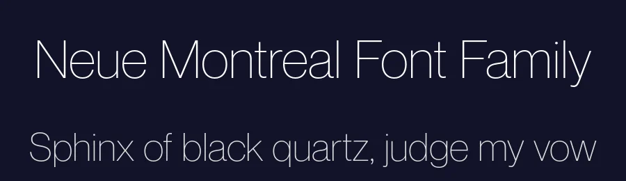 Neue Montreal Font Family by Pangram Pangram — Sans Serif Font — thumbnail 2