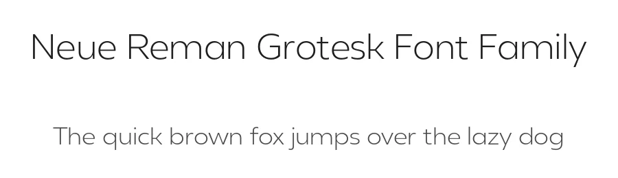 Neue Reman Grotesk Font Family by Nadia Auliana — Sans Serif Font