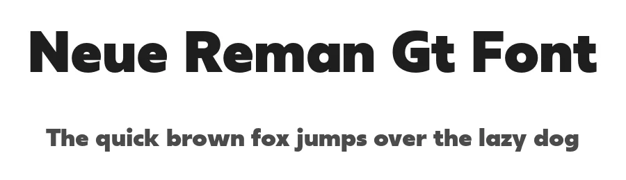 Neue Reman Gt Font by Propertype — Decorative Font