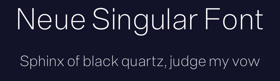 Neue Singular Font by Neue — Sans Serif Font — thumbnail 2