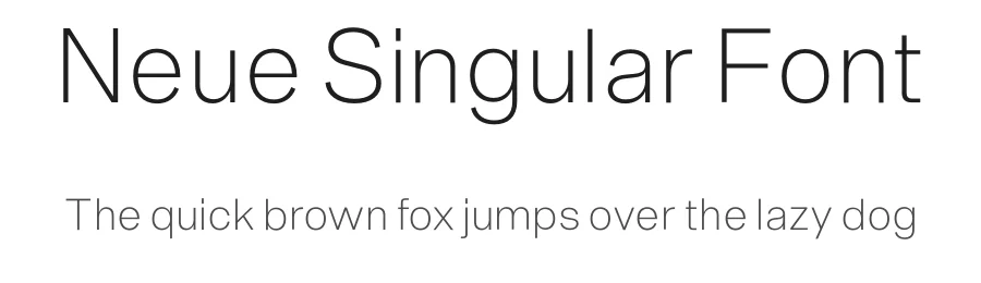 Neue Singular Font by Neue — Sans Serif Font