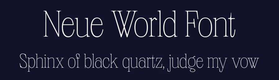 Neue World Font by Pangram Pangram — Serif Font — thumbnail 2