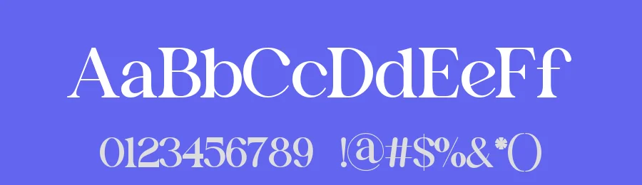 New Eviore Font by ErmediaStudio — Serif Font — thumbnail 3