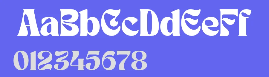 New Experimental Font by Bellinghamtype Foundry — Serif Font — thumbnail 3