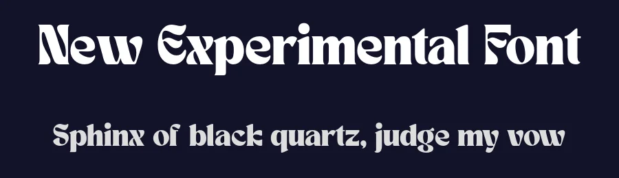 New Experimental Font by Bellinghamtype Foundry — Serif Font — thumbnail 2