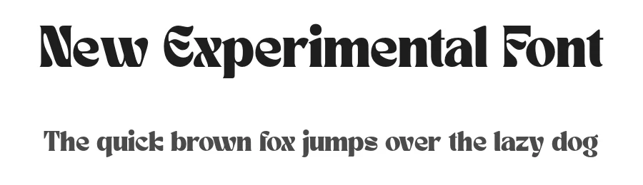 New Experimental Font by Bellinghamtype Foundry — Serif Font