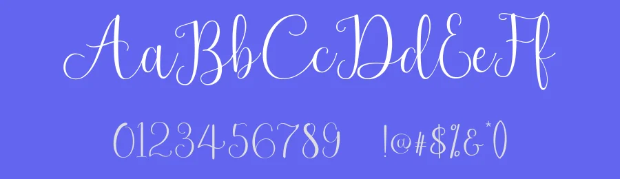 Newark Calligraphy Font by sizimon — Script Handwritten Font — thumbnail 3