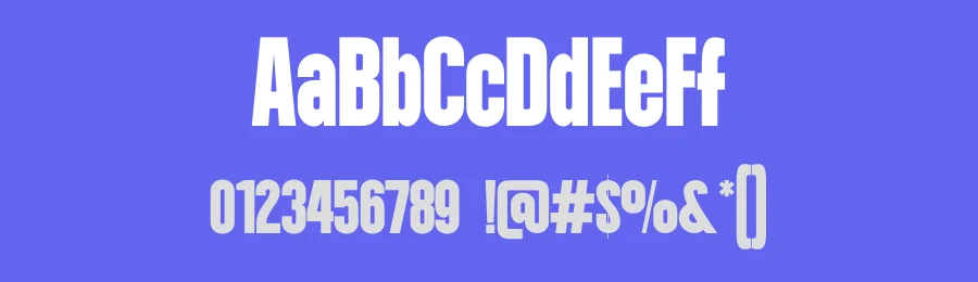 Newborn Font by Funtype — Decorative Font — thumbnail 3