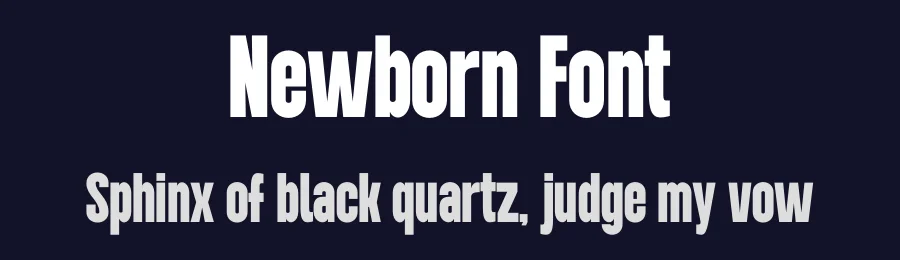 Newborn Font by Funtype — Decorative Font — thumbnail 2
