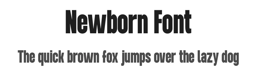 Newborn Font by Funtype — Decorative Font