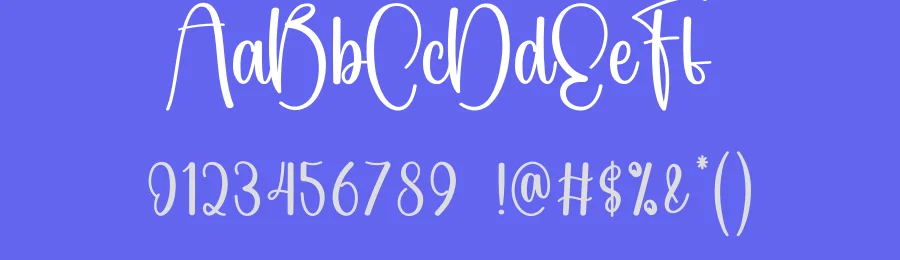 Newborn Script Font by andikastudio — Script Handwritten Font — thumbnail 3