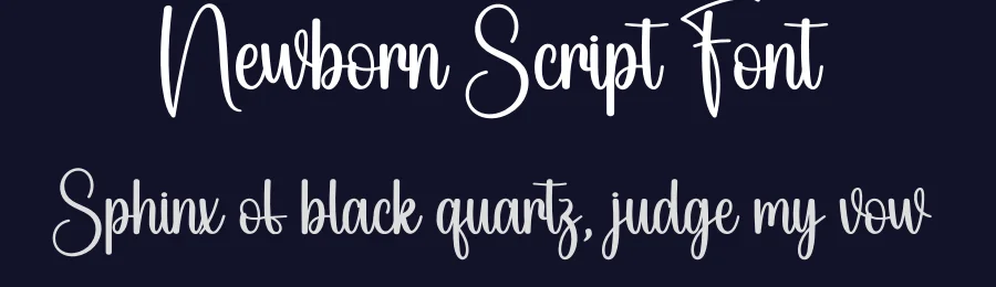 Newborn Script Font by andikastudio — Script Handwritten Font — thumbnail 2