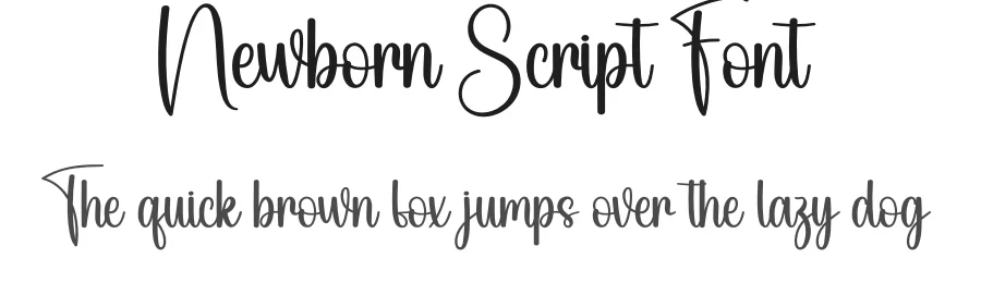 Newborn Script Font by andikastudio — Script Handwritten Font