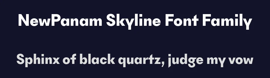 NewPanam Skyline Font Family by Swiss Typefaces — Sans Serif Font — thumbnail 2