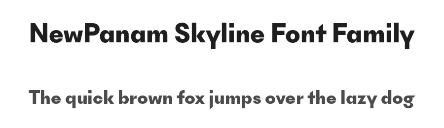 NewPanam Skyline Font Family by Swiss Typefaces — Sans Serif Font