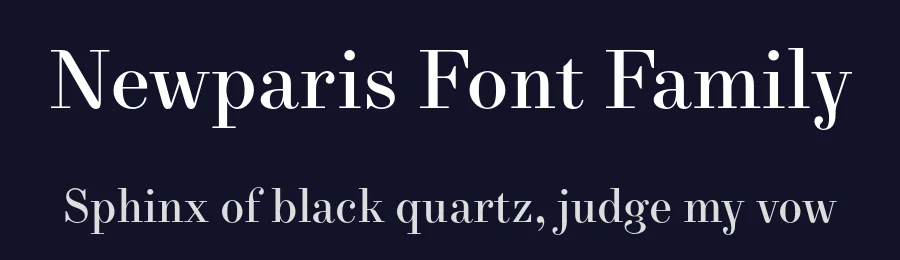 Newparis Font Family by Swiss Typefaces — Serif Font — thumbnail 2