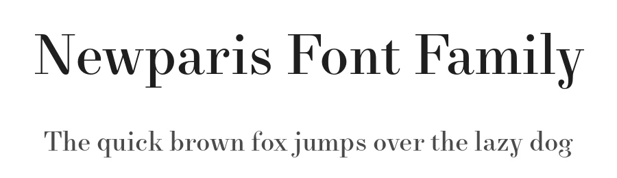 Newparis Font Family by Swiss Typefaces — Serif Font