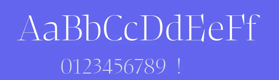 NewsSerif Font Family by Character Type — Serif Font — thumbnail 3