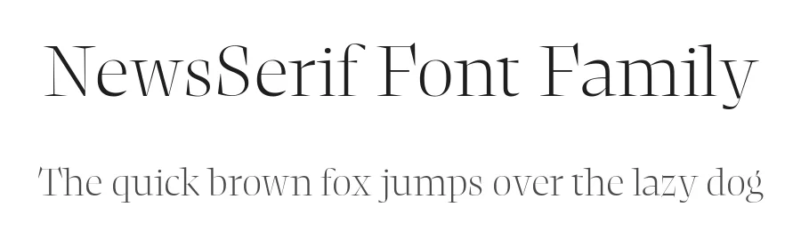 NewsSerif Font Family by Character Type β Serif Font