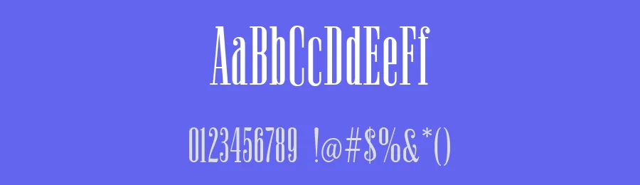 Newston Slab Serif Font by Arterfak Project — Slab Serif Font — thumbnail 3