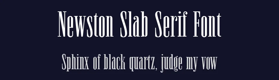 Newston Slab Serif Font by Arterfak Project — Slab Serif Font — thumbnail 2