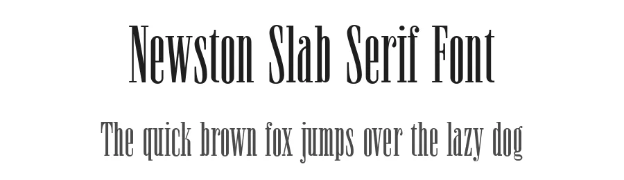Newston Slab Serif Font by Arterfak Project — Slab Serif Font