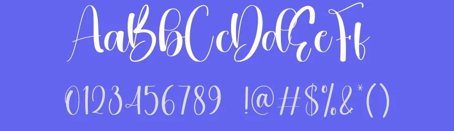 Newyear Christmas – Elegant Handwritten Font by creativeletter — Script Handwritten Font — thumbnail 3