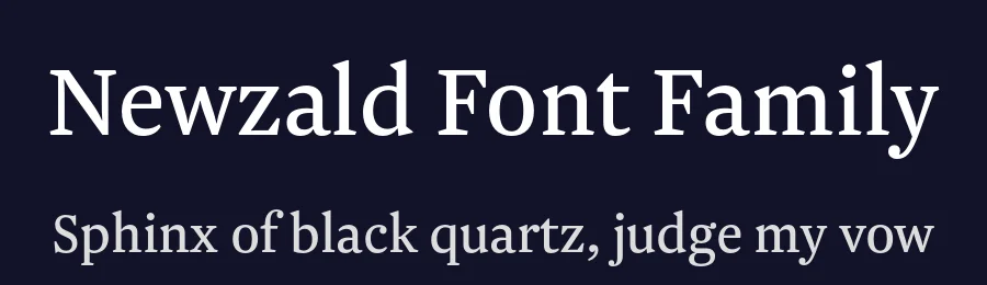 Newzald Font Family by Klim Type Foundry — Serif Font — thumbnail 2