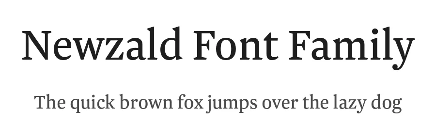 Newzald Font Family by Klim Type Foundry — Serif Font