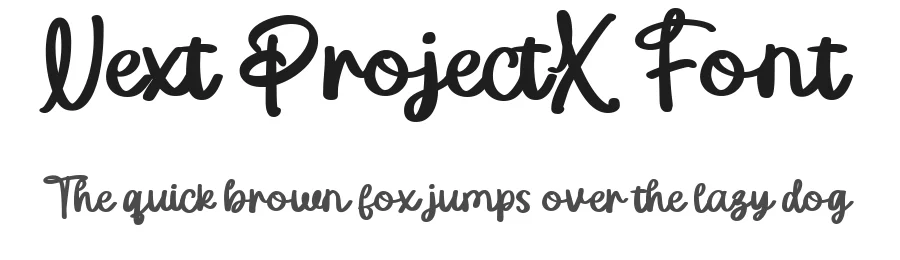 Next ProjectX Font by vaiminit — Display Font