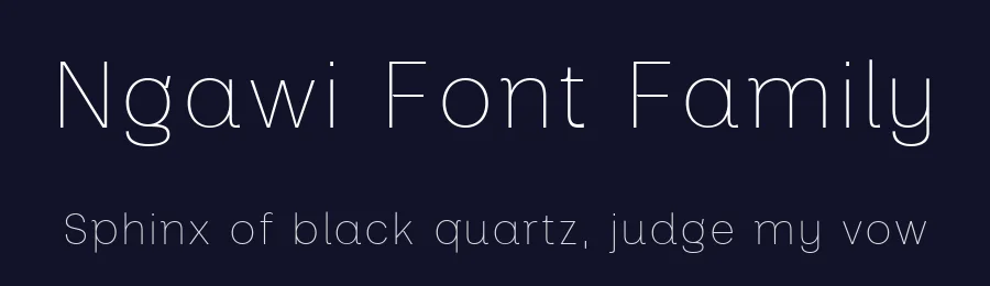 Ngawi Font Family by Lettertype Studio — Display Font — thumbnail 2