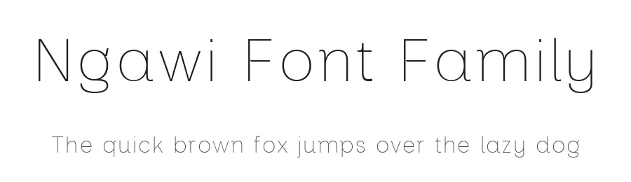 Ngawi Font Family by Lettertype Studio — Display Font