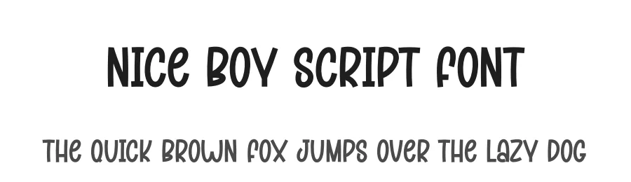 Nice Boy Script Font by creativeletter — Display Font