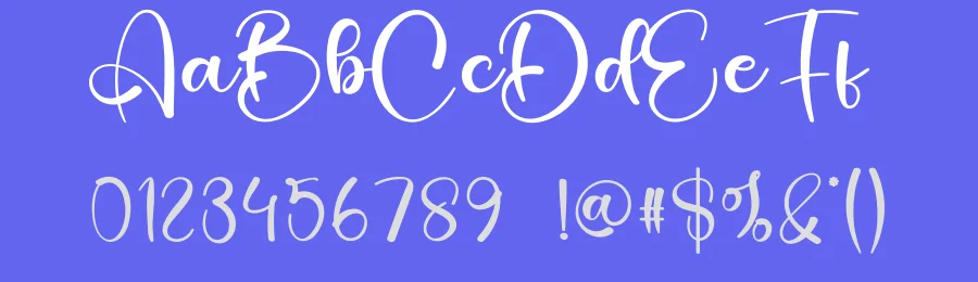 Night Calligraphy Font by creativeletter — Script Handwritten Font — thumbnail 3