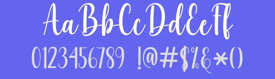 Night Party Script Font by DN Creative — Script Handwritten Font — thumbnail 3