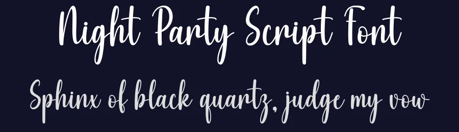 Night Party Script Font by DN Creative — Script Handwritten Font — thumbnail 2
