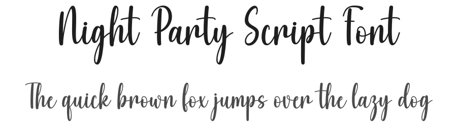 Night Party Script Font by DN Creative — Script Handwritten Font