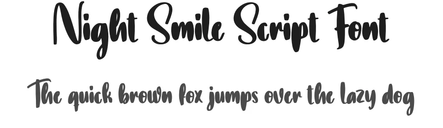 Night Smile Script Font by creativeletter — Script Handwritten Font